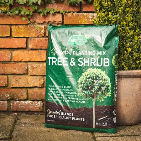 Westland Tree & Shrub  Planting & Potting Peat Free Mix 46L