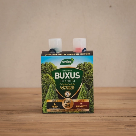 Westland Westland 2 in1 Feed and Protect Buxus 500ml