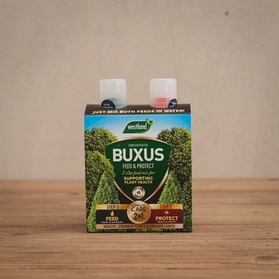 Westland Westland 2 in1 Feed and Protect Buxus 500ml