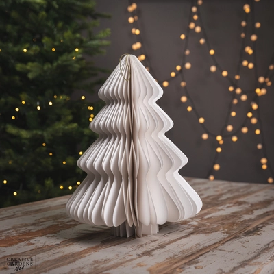 White Tree Paper Champagne Painted Edge 40cm