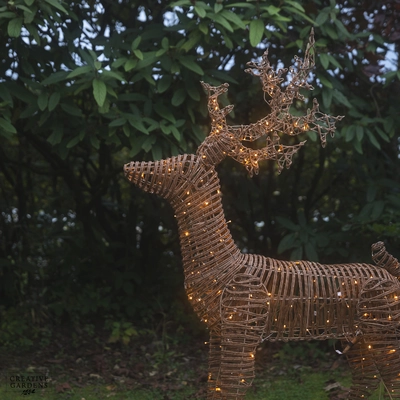 Wicker Reindeer 1.8m