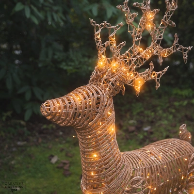 Wicker Reindeer 1.8m