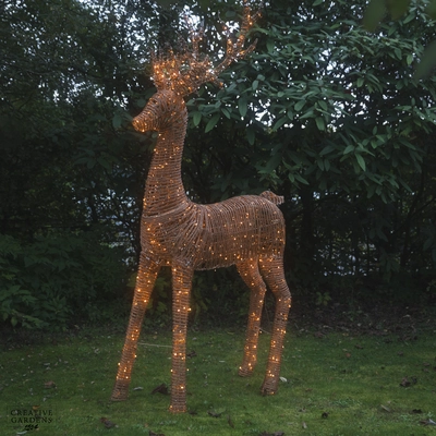 Wicker Reindeer 2.7m