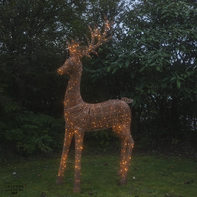 Wicker Reindeer 2.7m