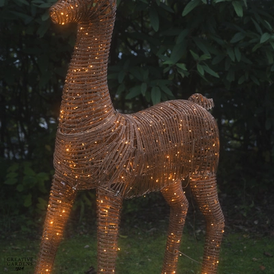 Wicker Reindeer 2.7m