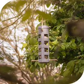 Wild Birdcare