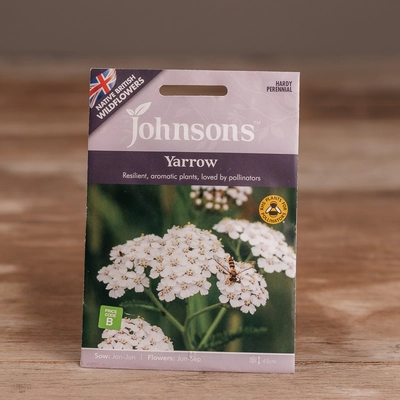 Yarrow - image 1