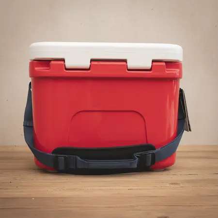 YETI Roadie 15 - Summer Anthem