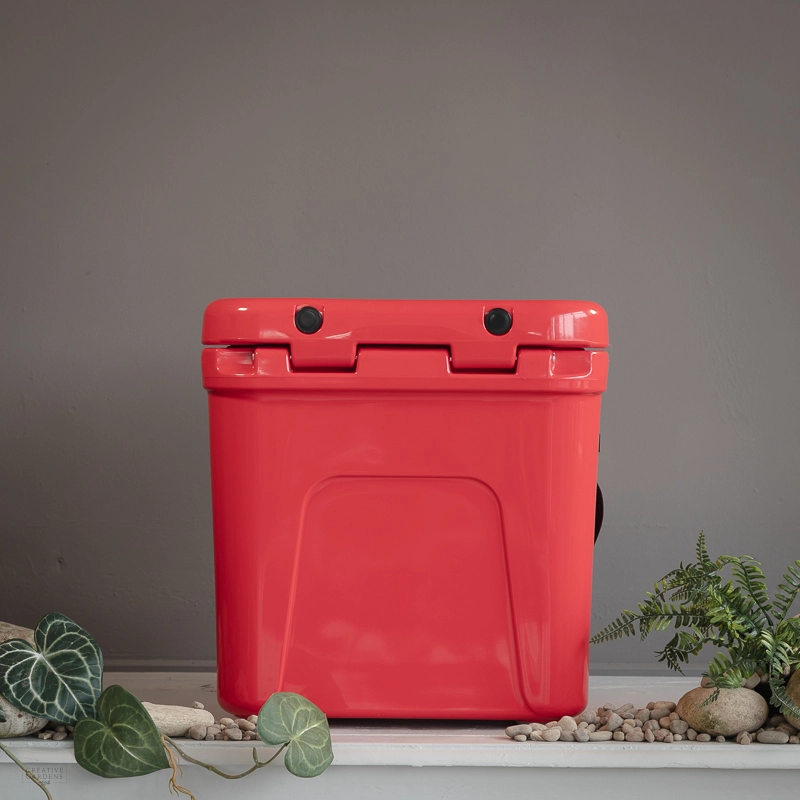 https://www.creativegardens.com/files/images/webshop/yeti-roadie-24-rescue-red-800x800-64d50ad8c56bc_l.webp