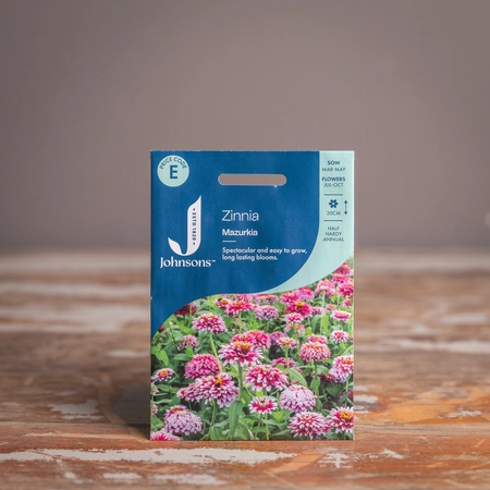 Zinnia Mazurkia - image 1