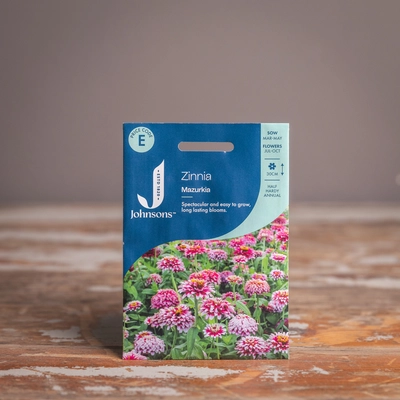 Zinnia Mazurkia - image 1