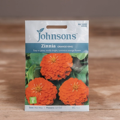 Zinnia Orange King - image 1