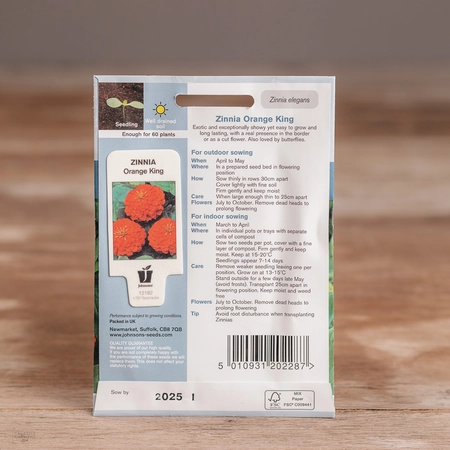 Zinnia Orange King - image 2