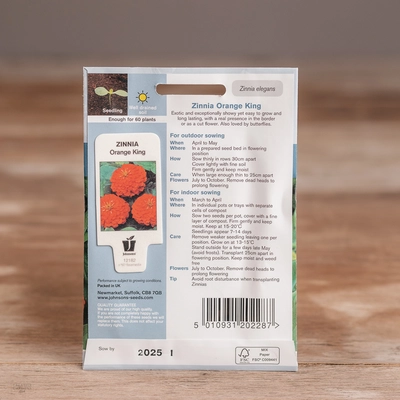 Zinnia Orange King - image 2