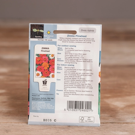 Zinnia Pinwheel - image 2