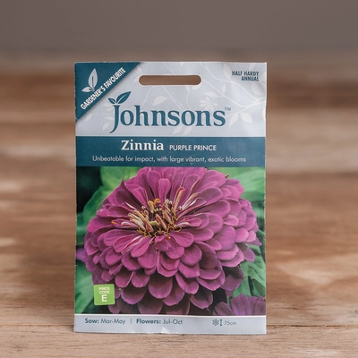 Zinnia Purple Prince - image 1