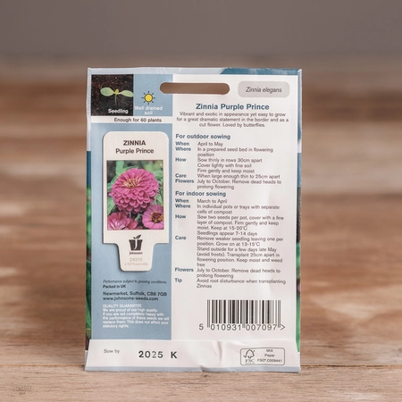 Zinnia Purple Prince - image 2