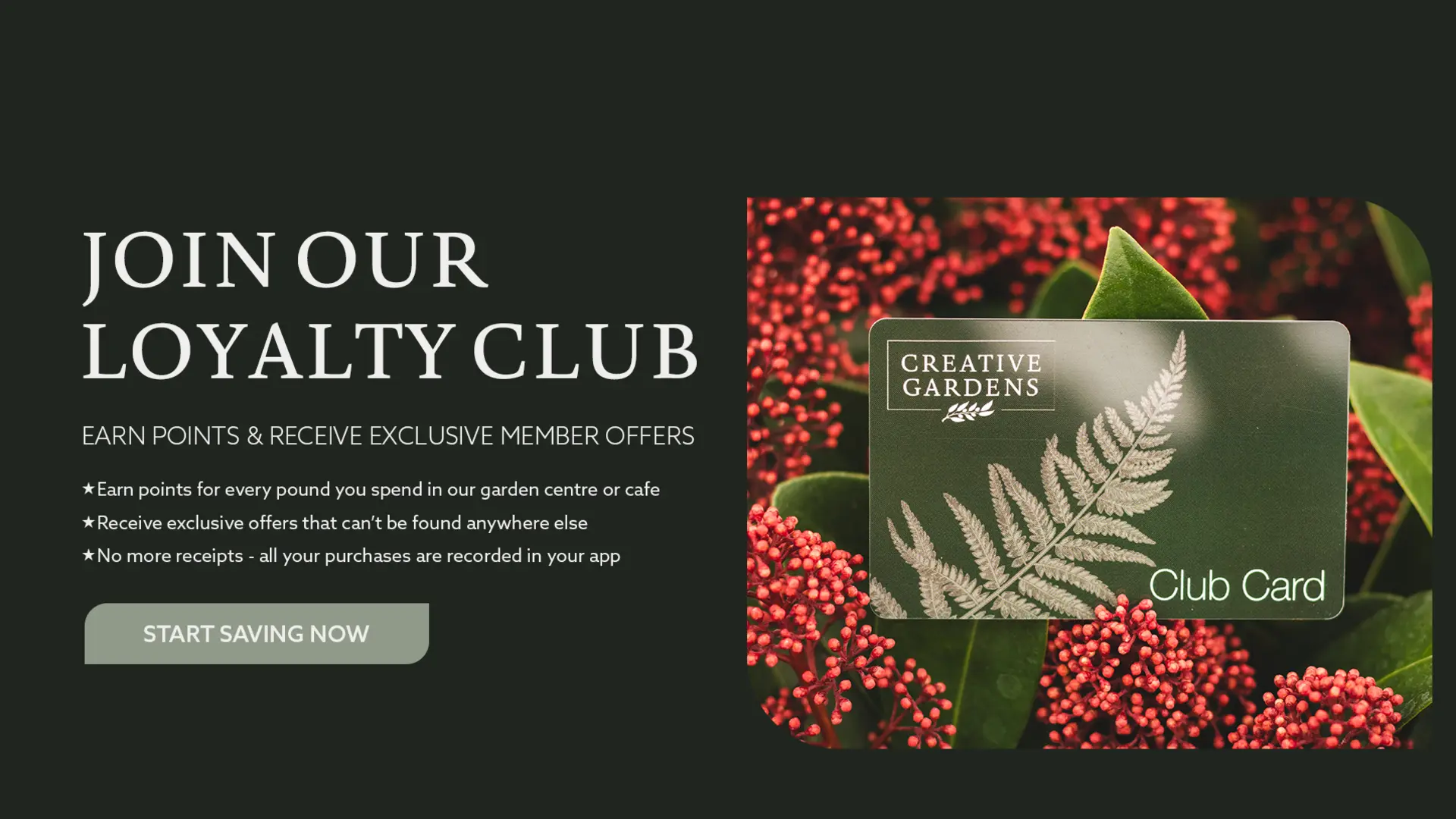 Click Here to Join the Creative Gardens Loyalty Club and start earning points for everything you spend and receive exclusive offers